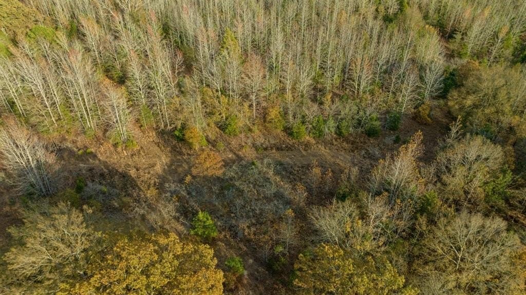 13.75 acres in Red River County - photo 13