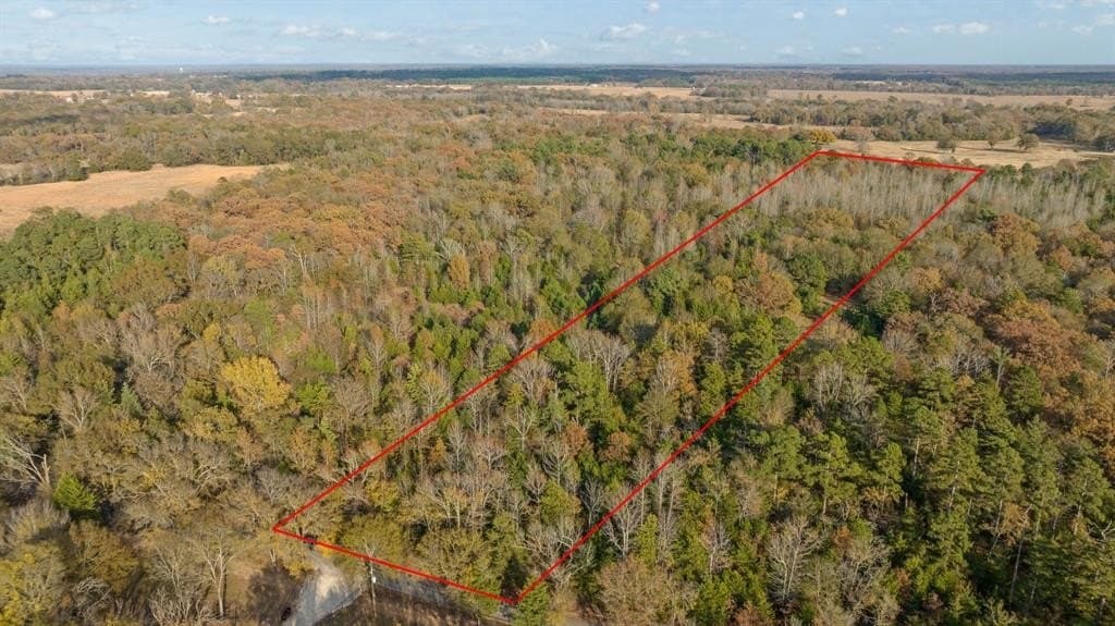 13.75 acres in Red River County - photo 10