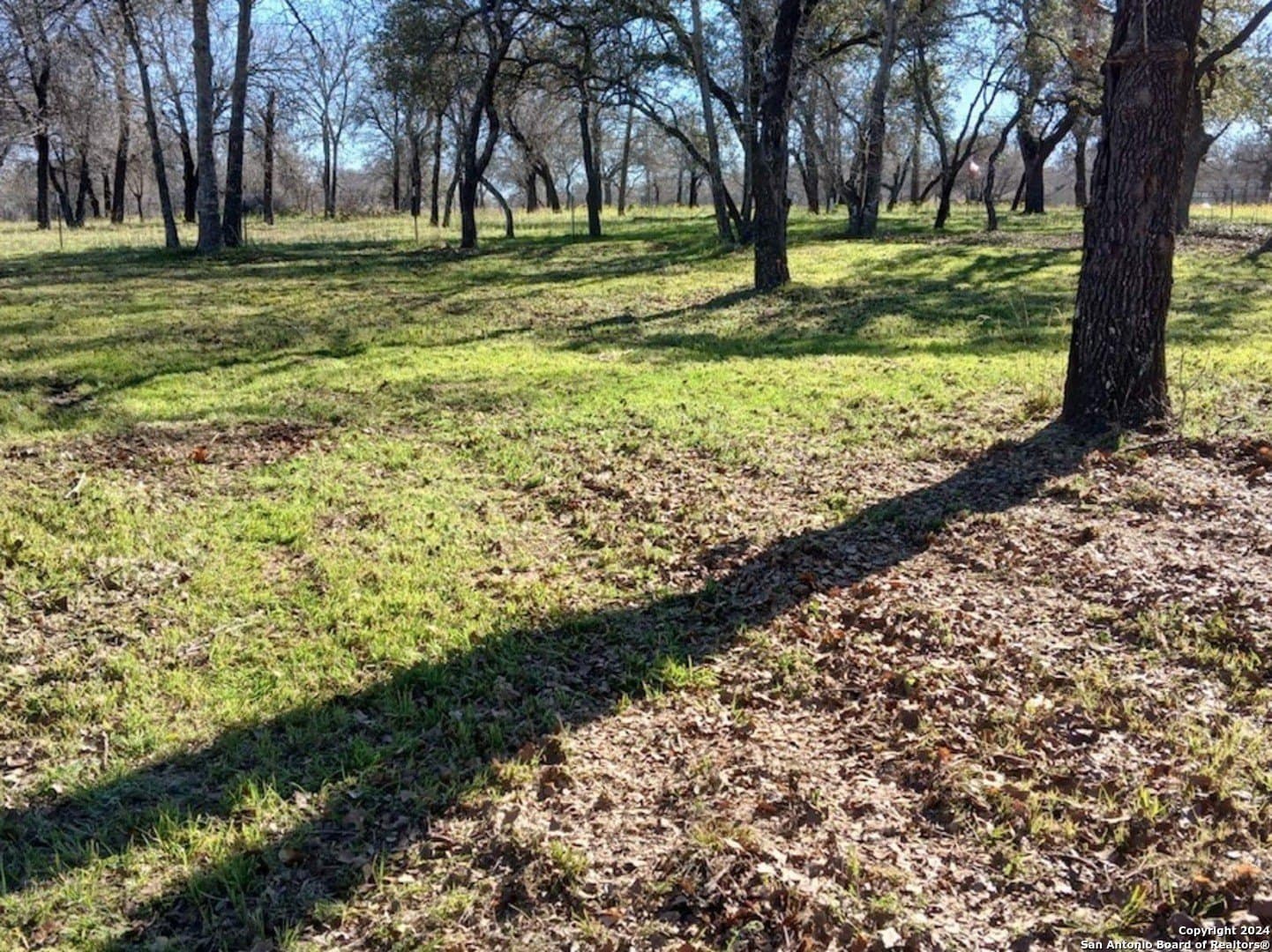 1.5 acres in Medina County - photo 4