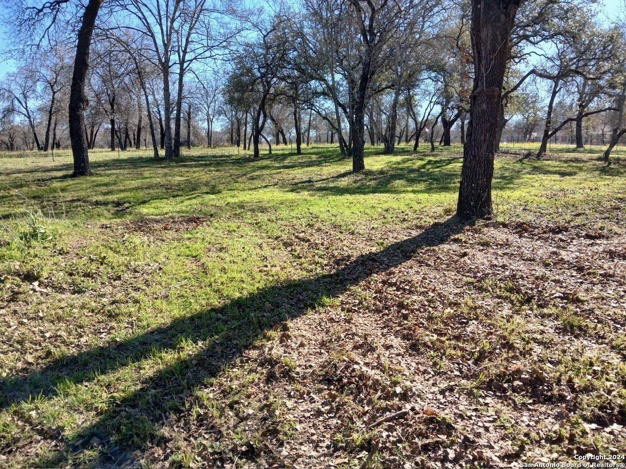 1.5 acres in Medina County - photo 3
