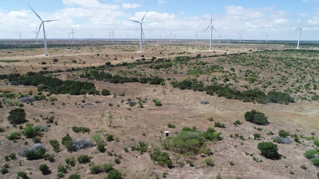 296.5 acres in Nolan County - photo 3