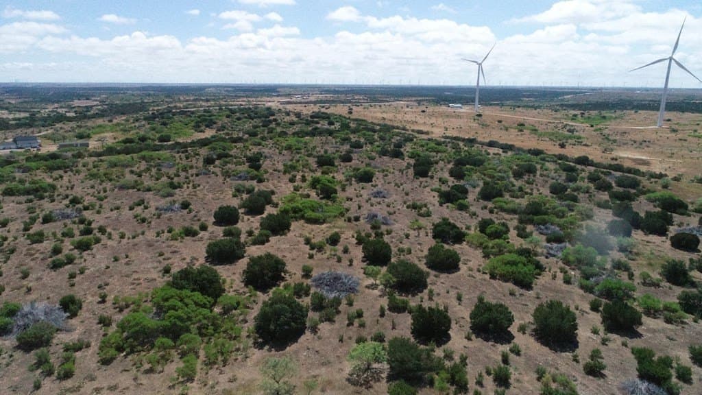 296.5 acres in Nolan County - photo 2