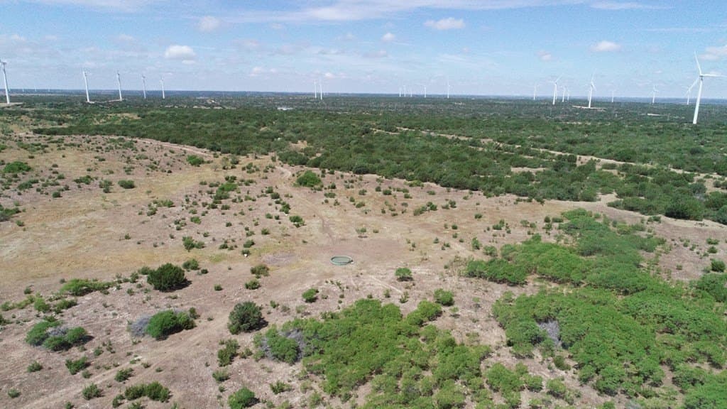 296.5 acres in Nolan County - photo 4