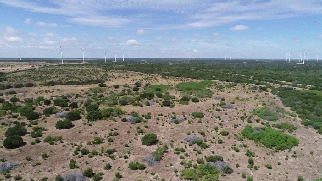 296.5 acres in Nolan County - photo 5