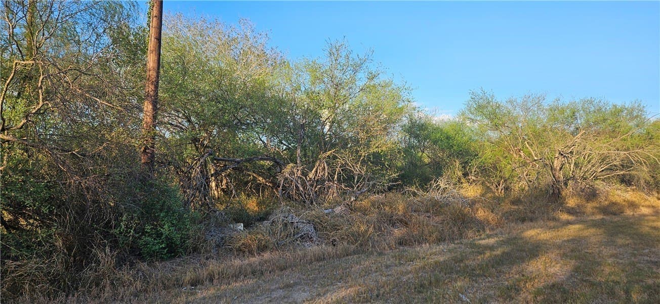 0.16 acres in Jim Wells County - photo 2