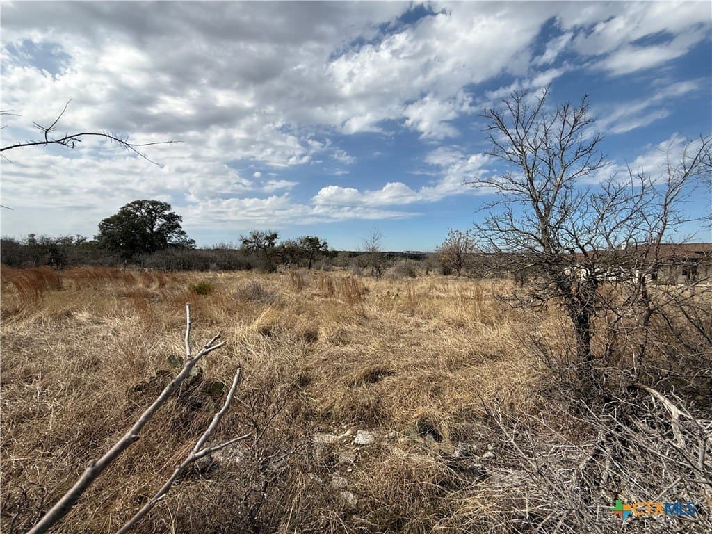 1.2 acres in Williamson County - photo 2