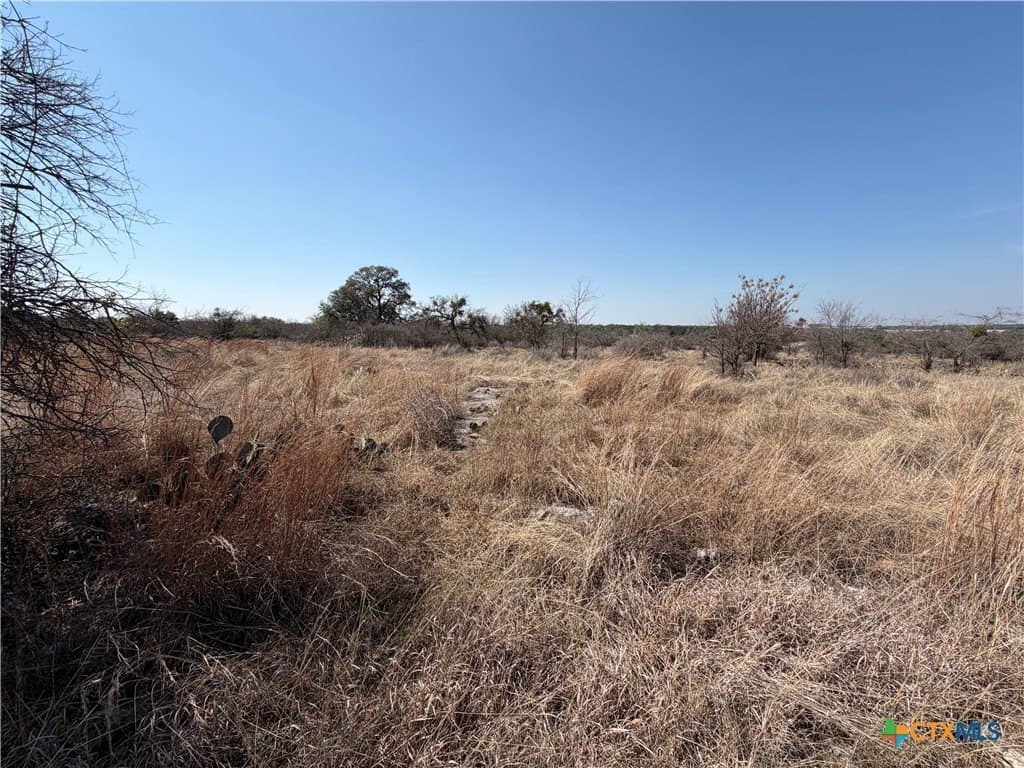 1.2 acres in Williamson County - photo 4
