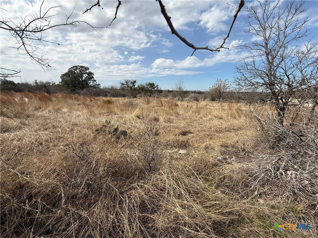1.2 acres in Williamson County - photo 5