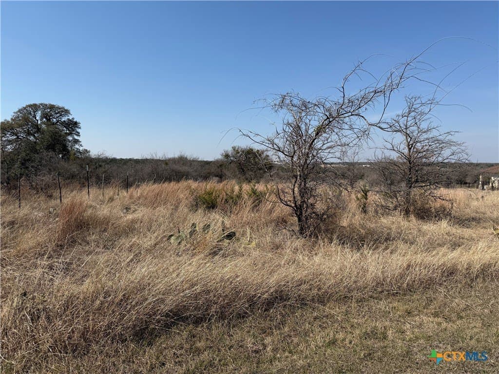 1.2 acres in Williamson County - photo 3