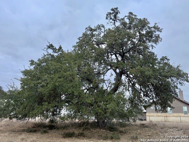 0.22 acres in Blanco County - photo 5