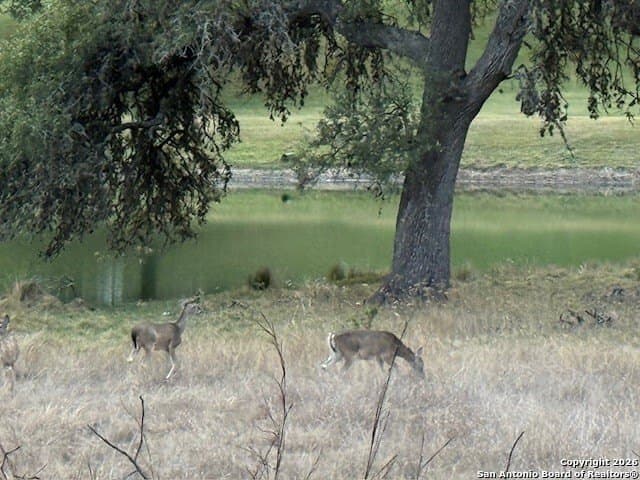 0.22 acres in Blanco County - photo 22