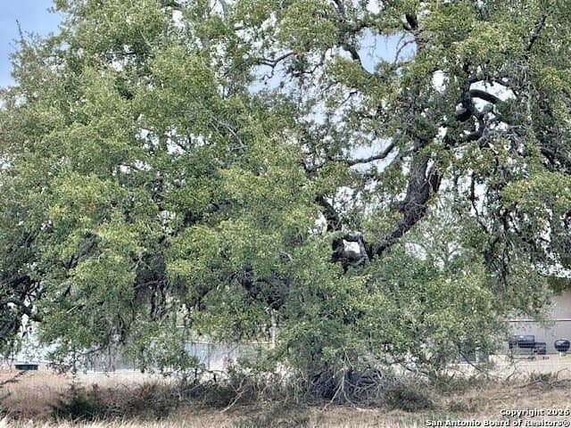 0.22 acres in Blanco County - photo 10