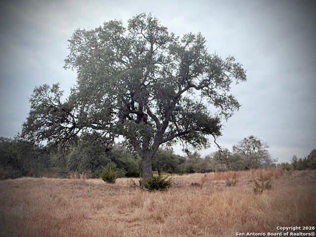 0.22 acres in Blanco County - photo 3