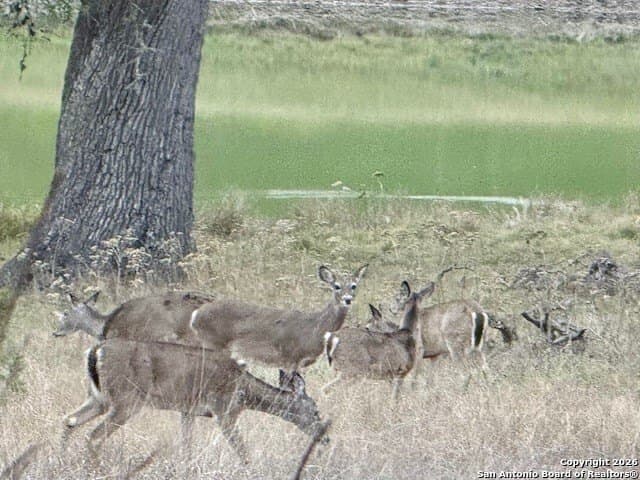 0.22 acres in Blanco County - photo 24