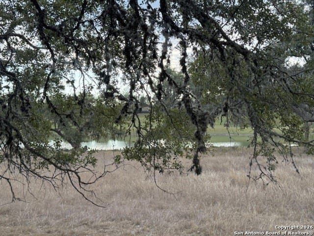 0.22 acres in Blanco County - photo 6