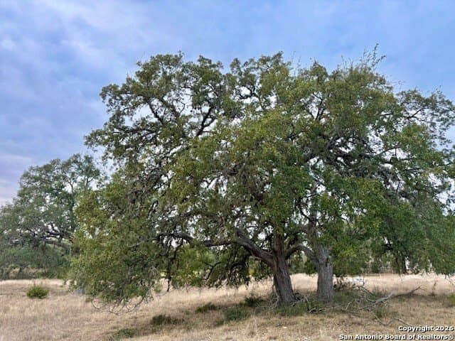 0.22 acres in Blanco County - photo 18