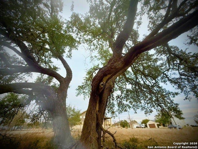0.22 acres in Blanco County - photo 4