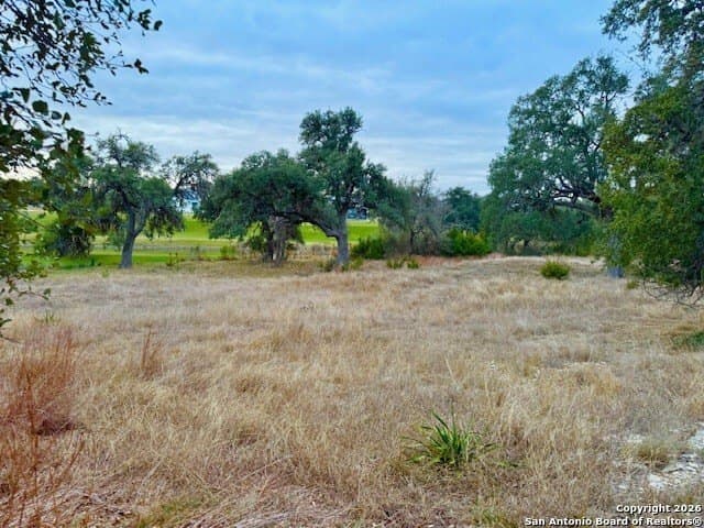 0.22 acres in Blanco County - photo 17