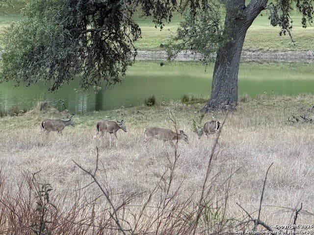 0.22 acres in Blanco County - photo 23