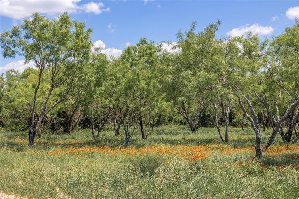 10 acres in Brown County - photo 19