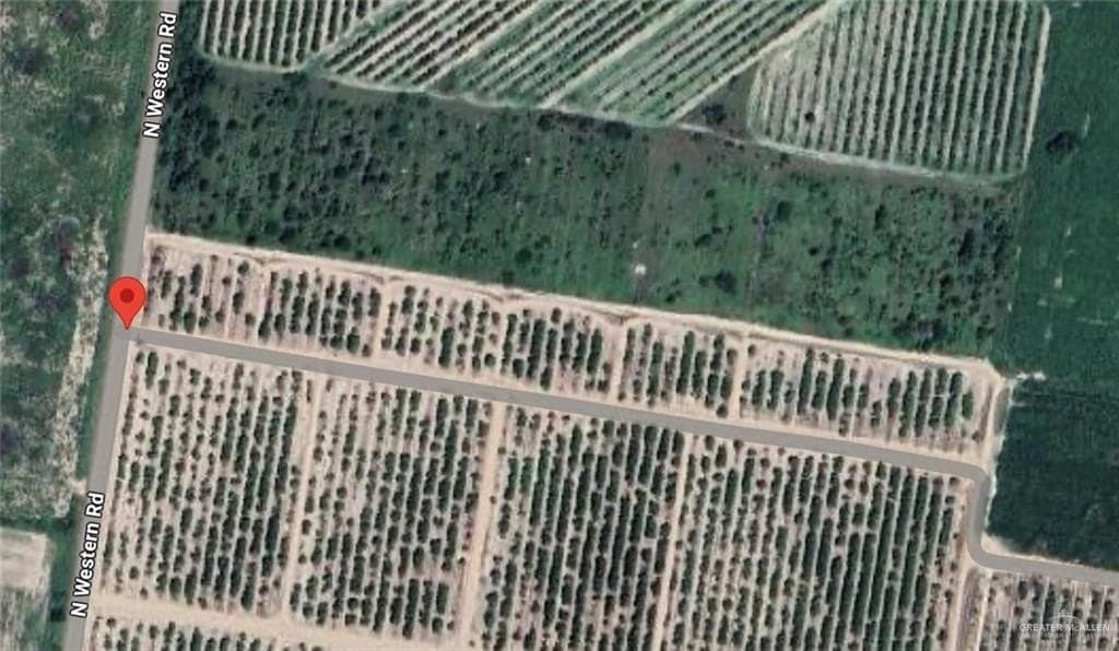 10 acres in Hidalgo County - photo 2