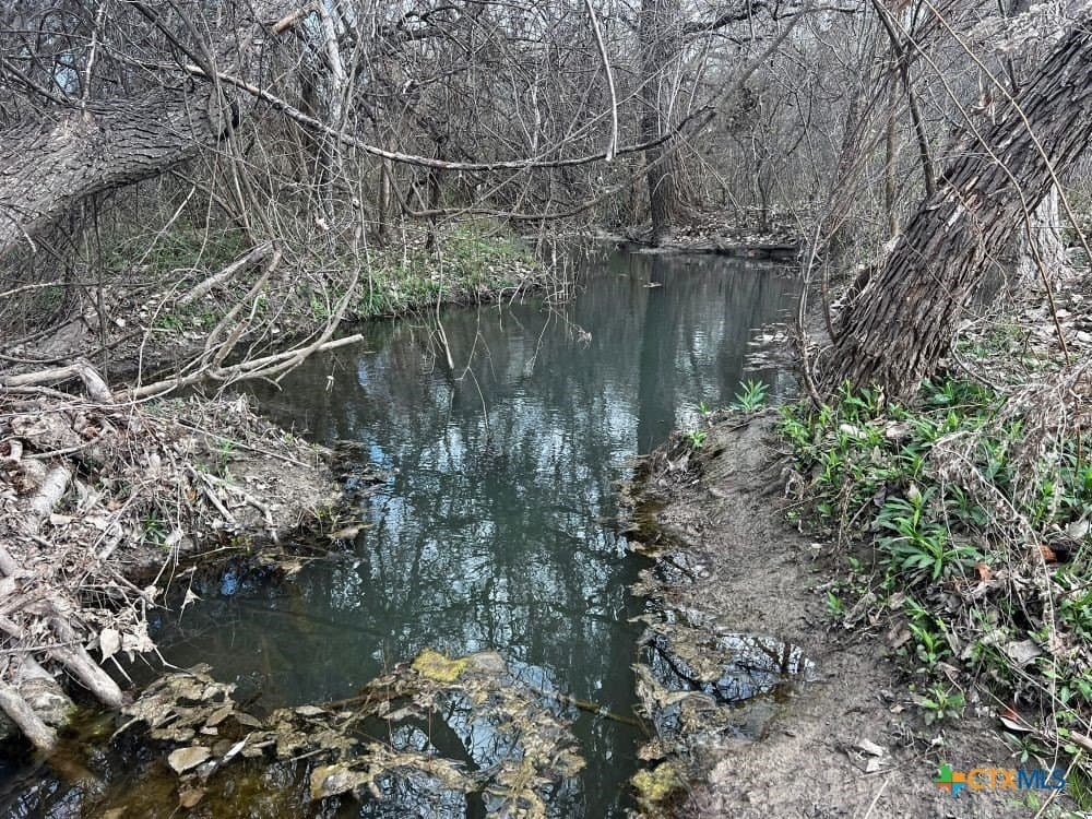 18.02 acres in Williamson County - photo 4