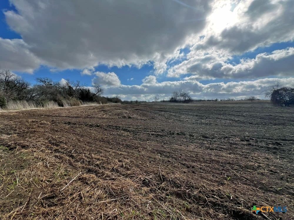 18.02 acres in Williamson County - photo 5