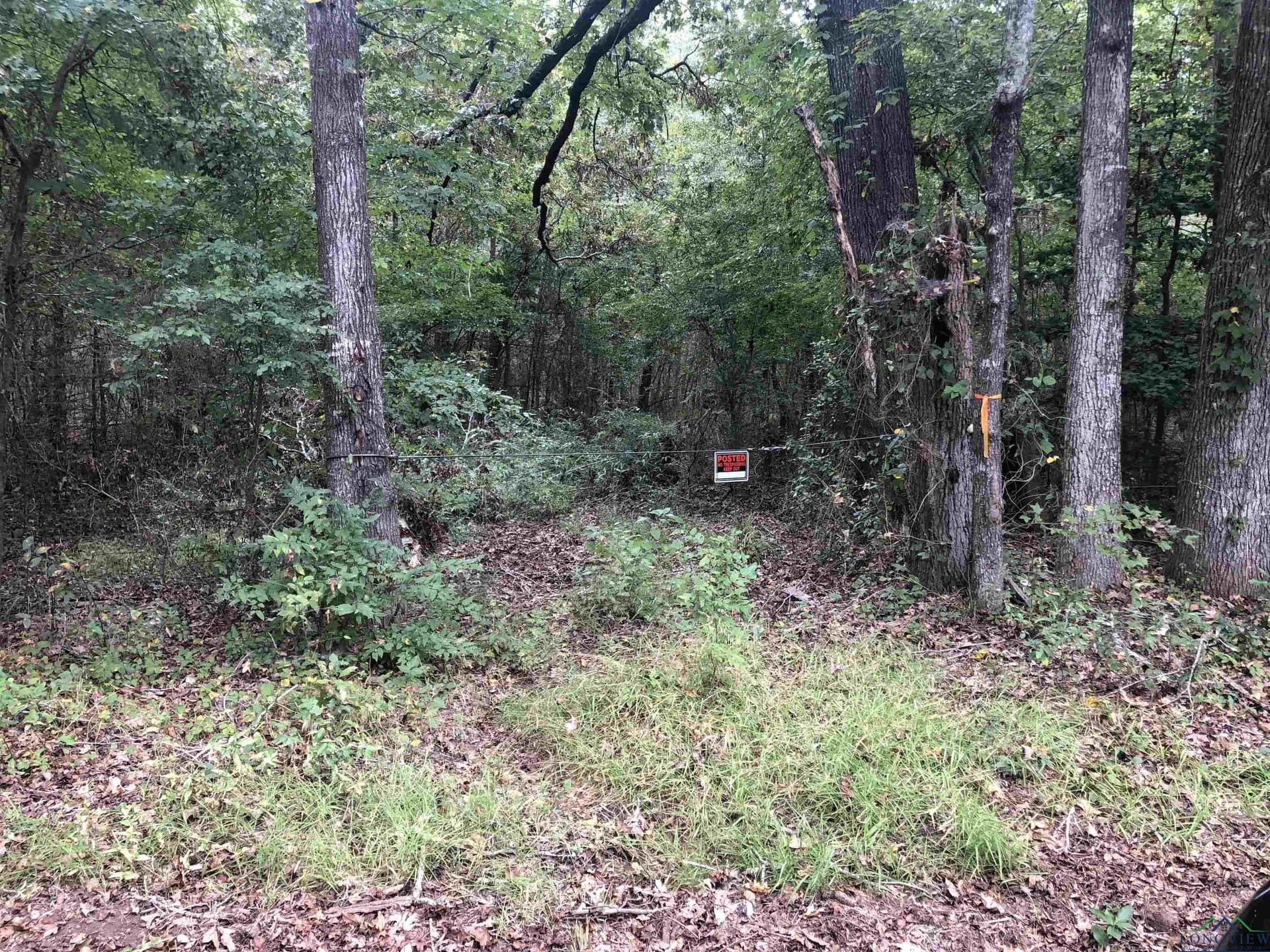 122 acres in Rusk County - photo 6