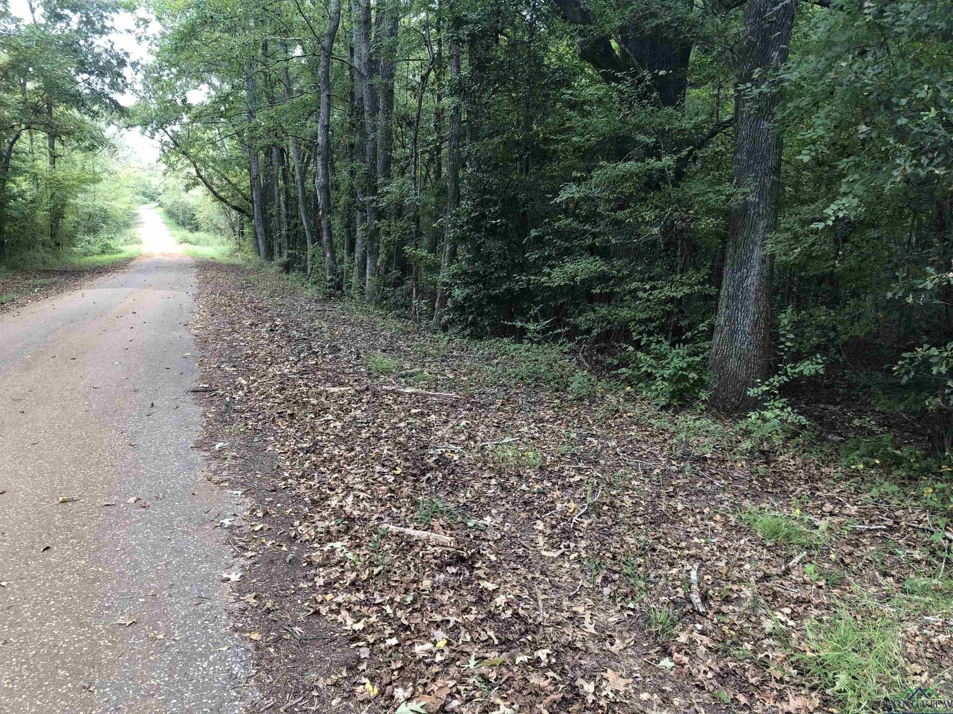 122 acres in Rusk County - photo 4