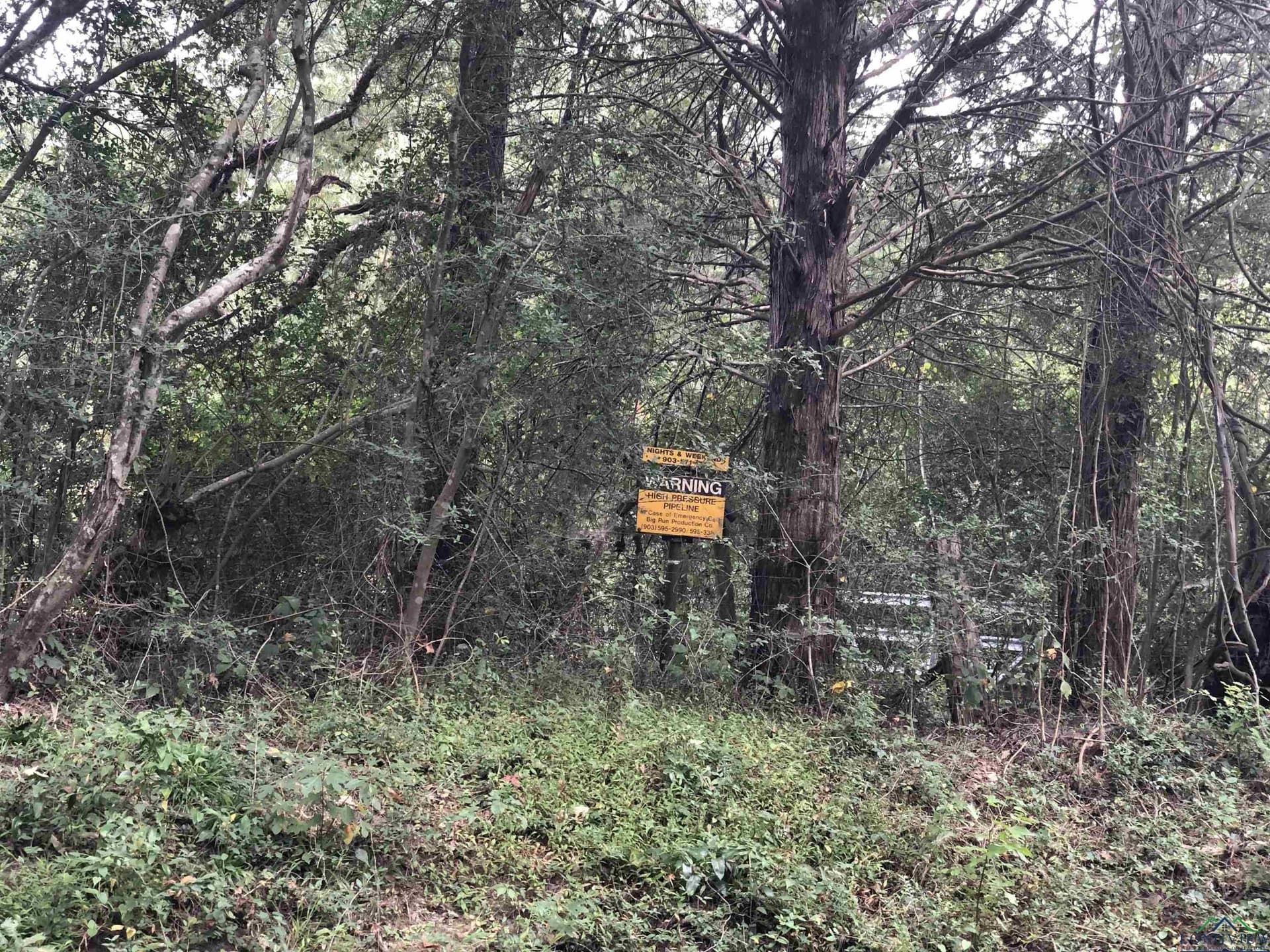 122 acres in Rusk County - photo 2