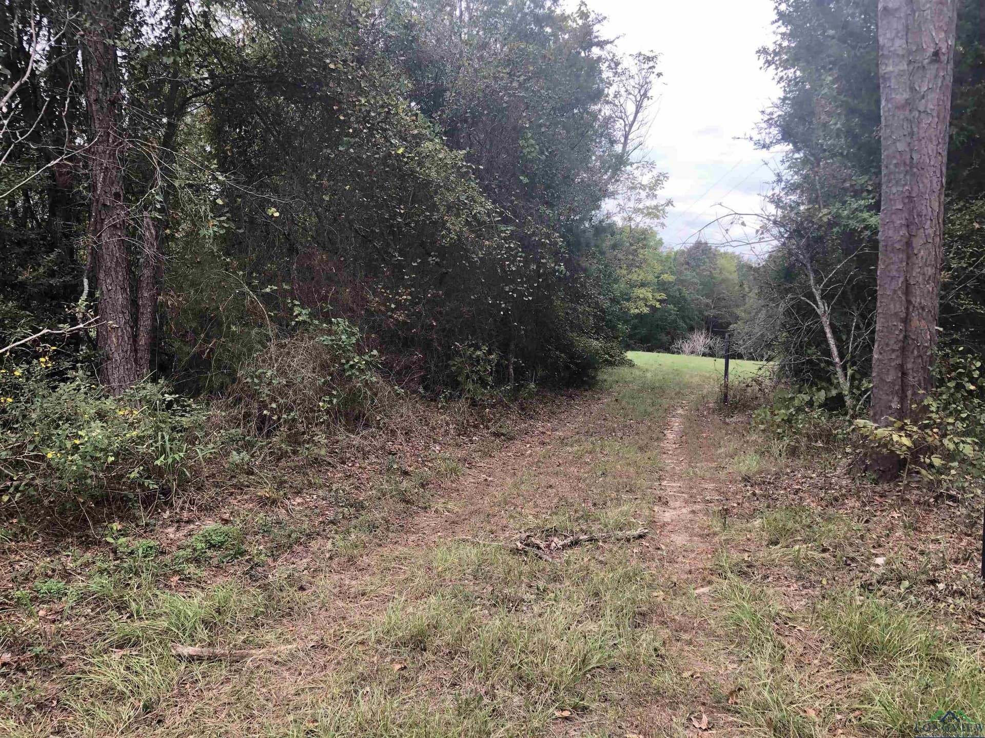 122 acres in Rusk County - photo 7