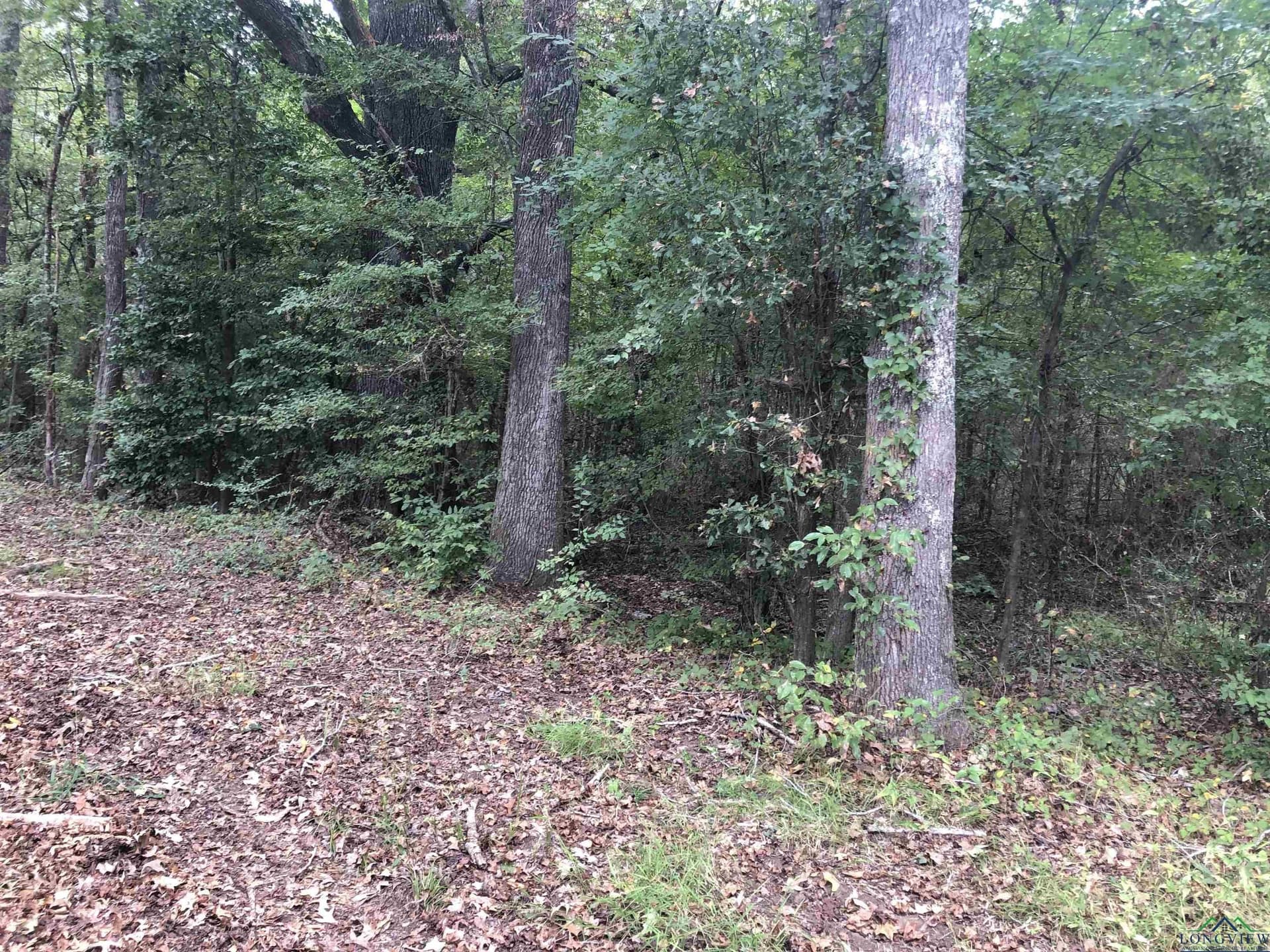 122 acres in Rusk County - photo 5