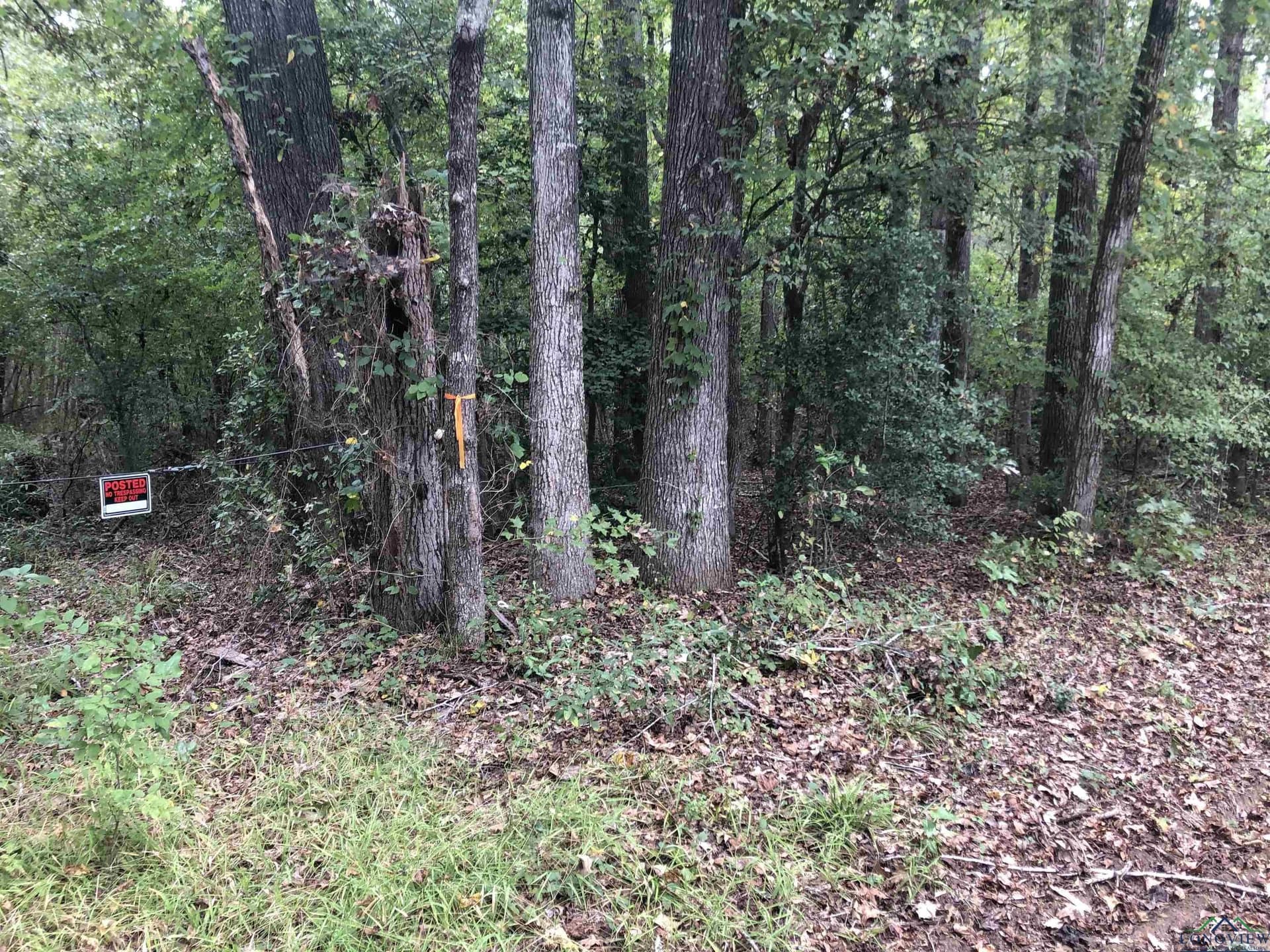 122 acres in Rusk County - photo 3