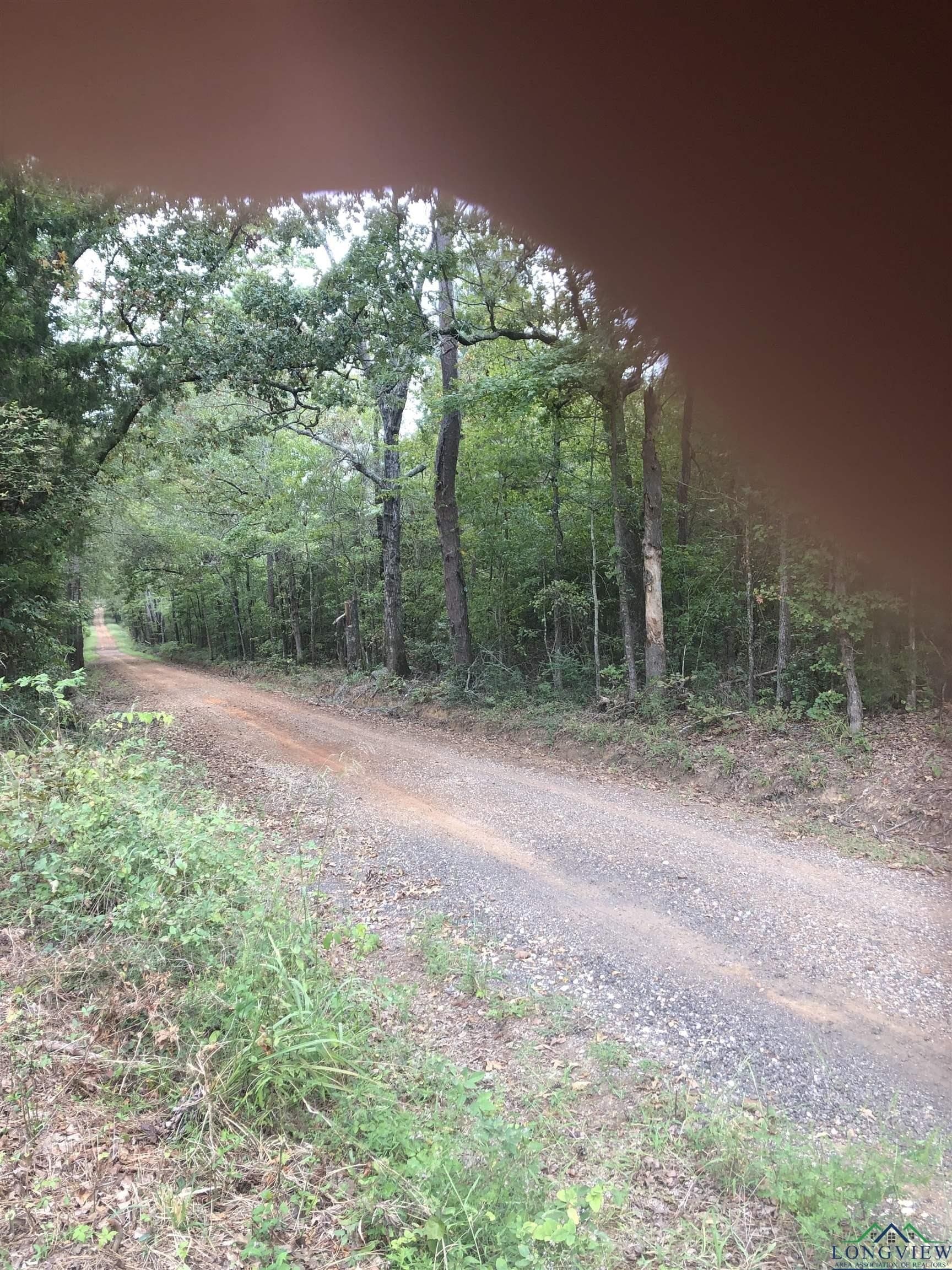 122 acres in Rusk County - photo 8