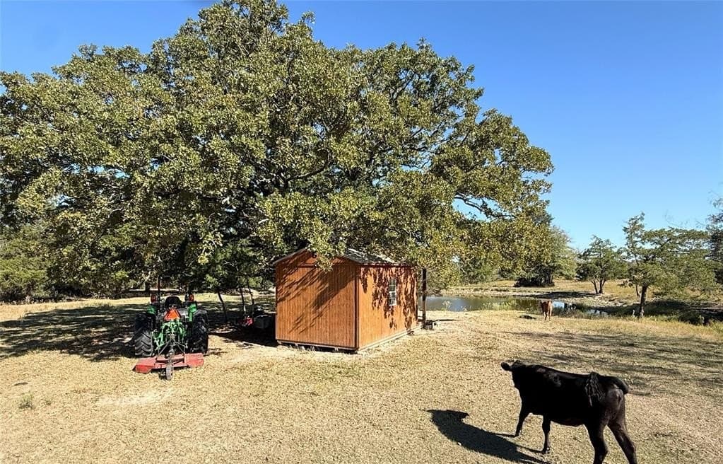 16.5 acres in Freestone County - photo 10
