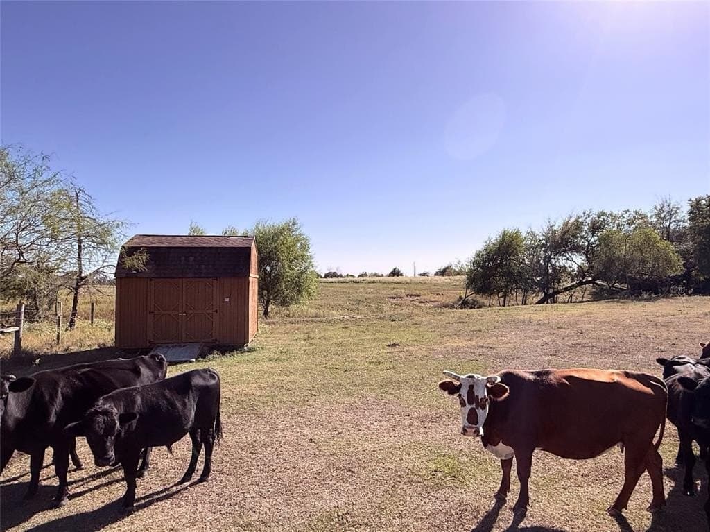 16.5 acres in Freestone County - photo 11