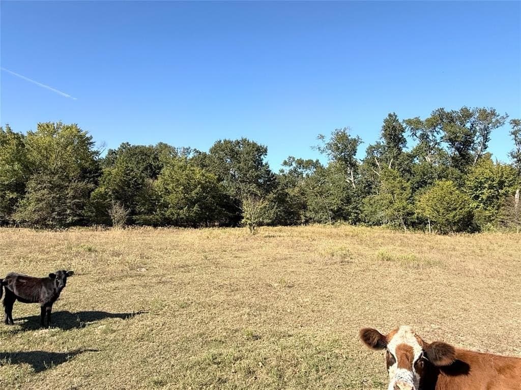 16.5 acres in Freestone County - photo 12