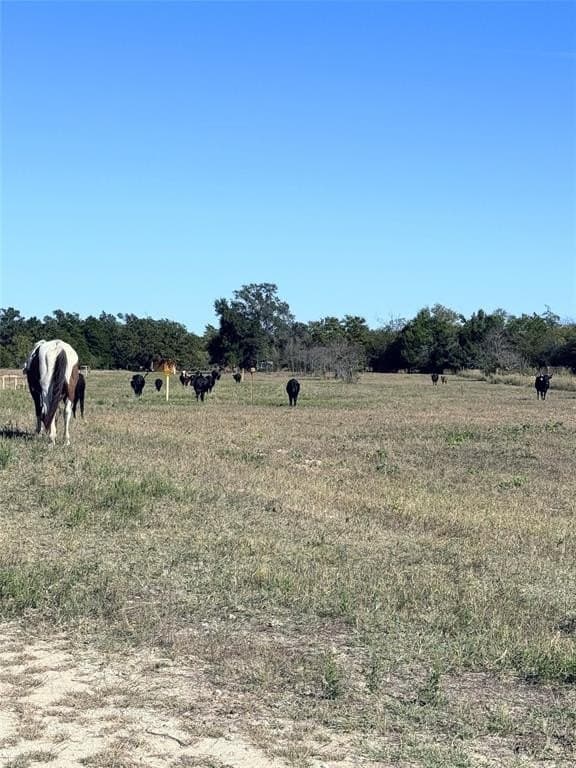 16.5 acres in Freestone County - photo 9