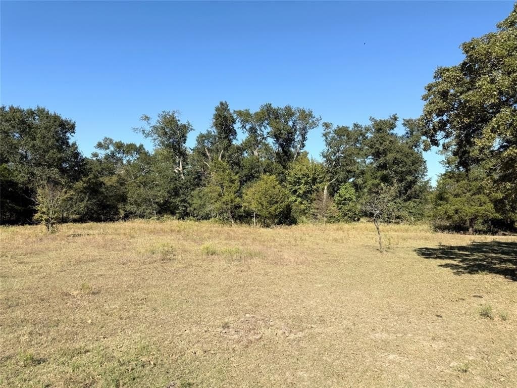 16.5 acres in Freestone County - photo 3