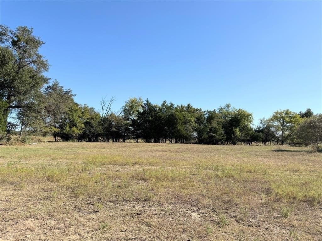 16.5 acres in Freestone County - photo 5