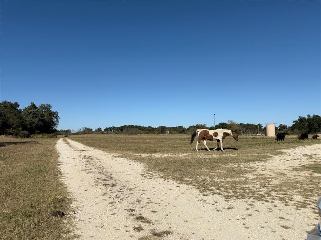 16.5 acres in Freestone County - photo 7