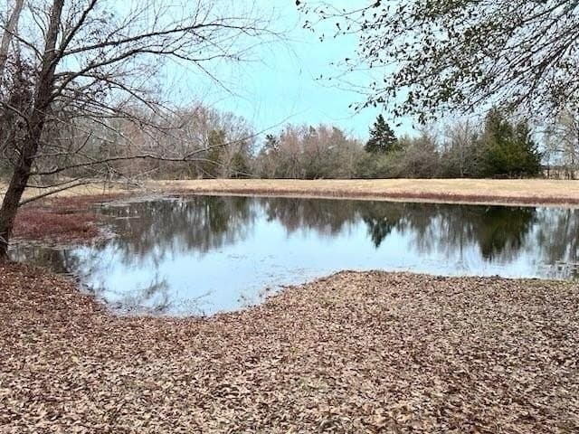 16.5 acres in Freestone County - photo 4