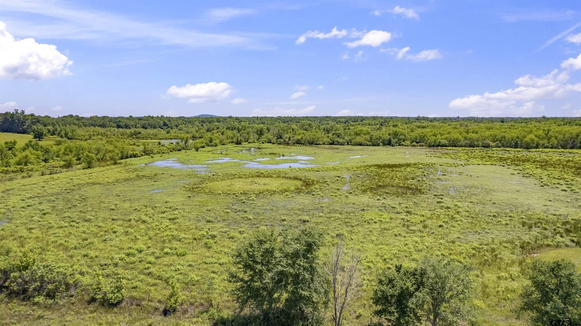 70.17 acres in Henderson County - photo 21