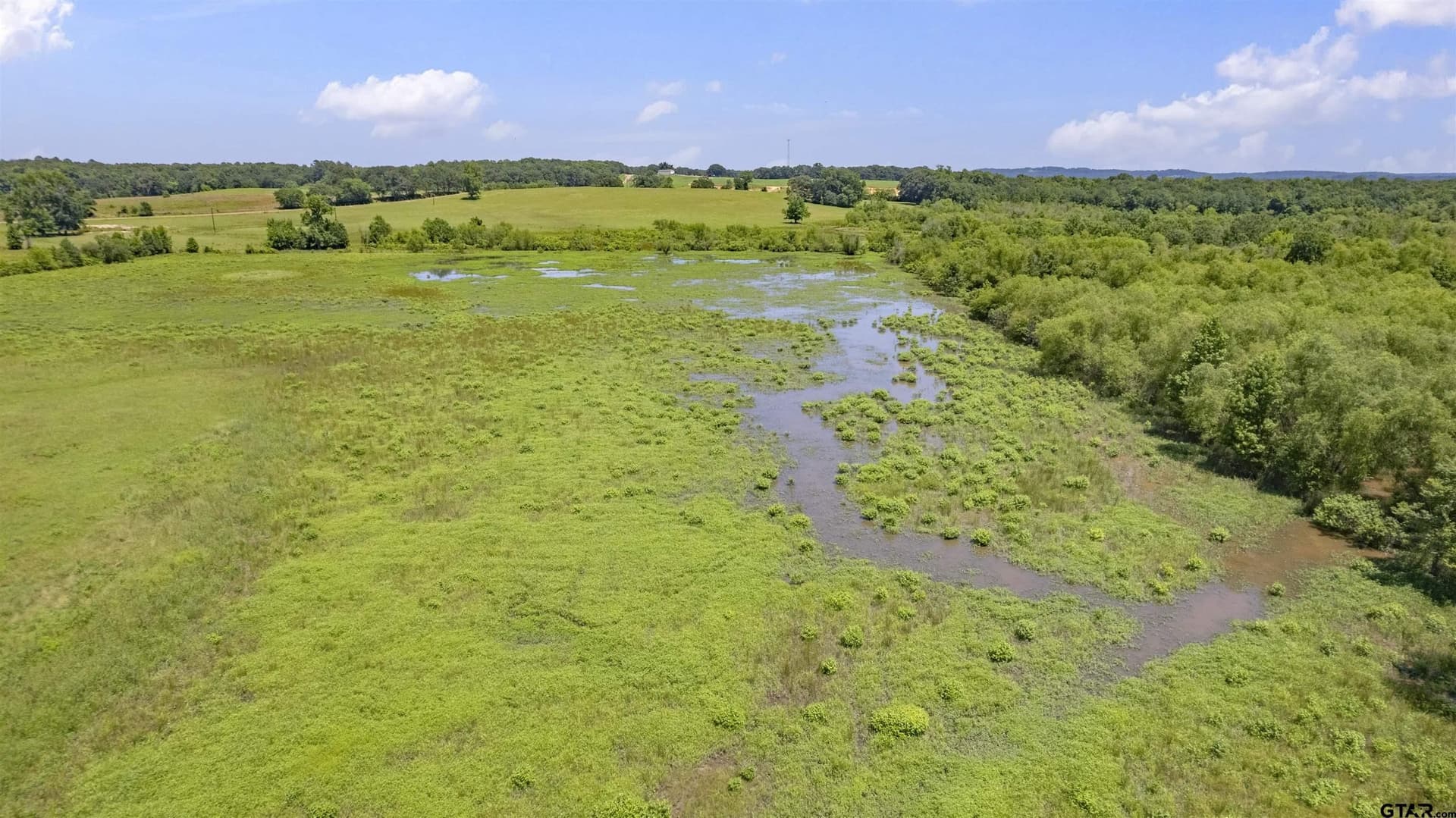 70.17 acres in Henderson County - photo 35