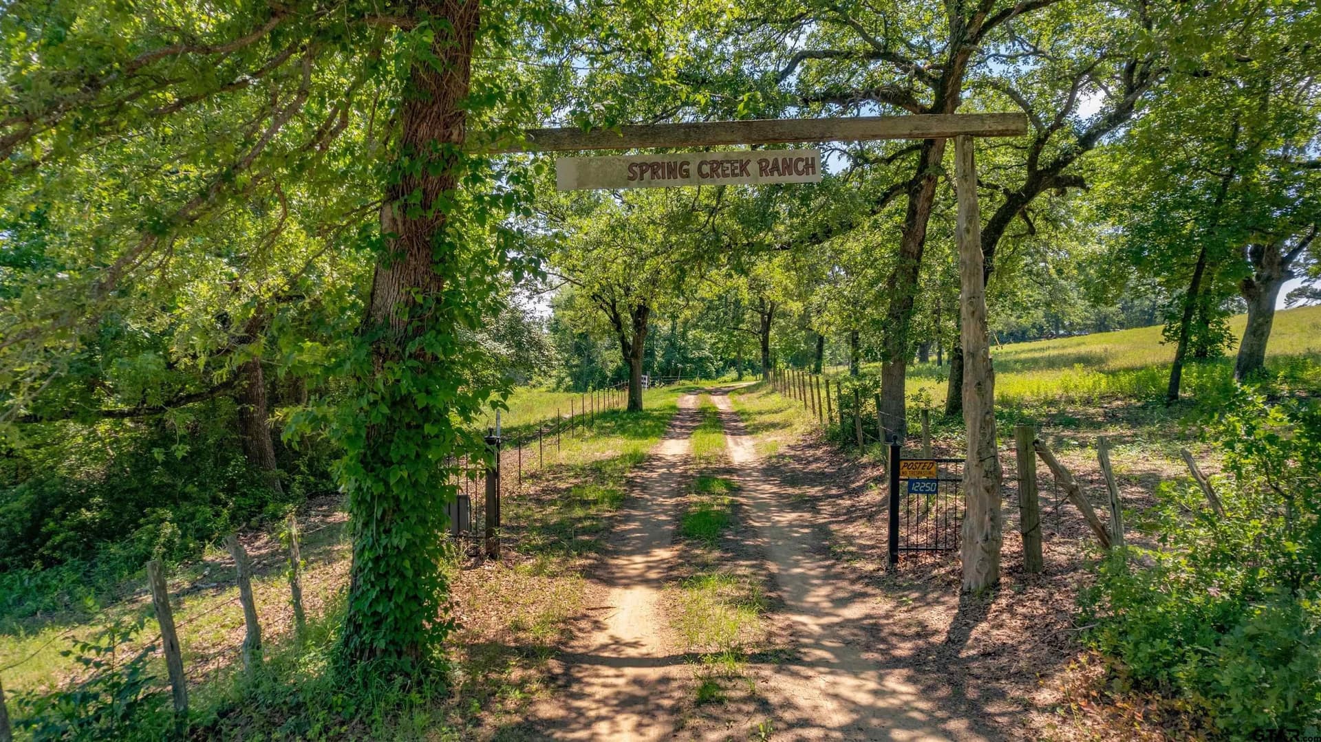 70.17 acres in Henderson County - photo 12