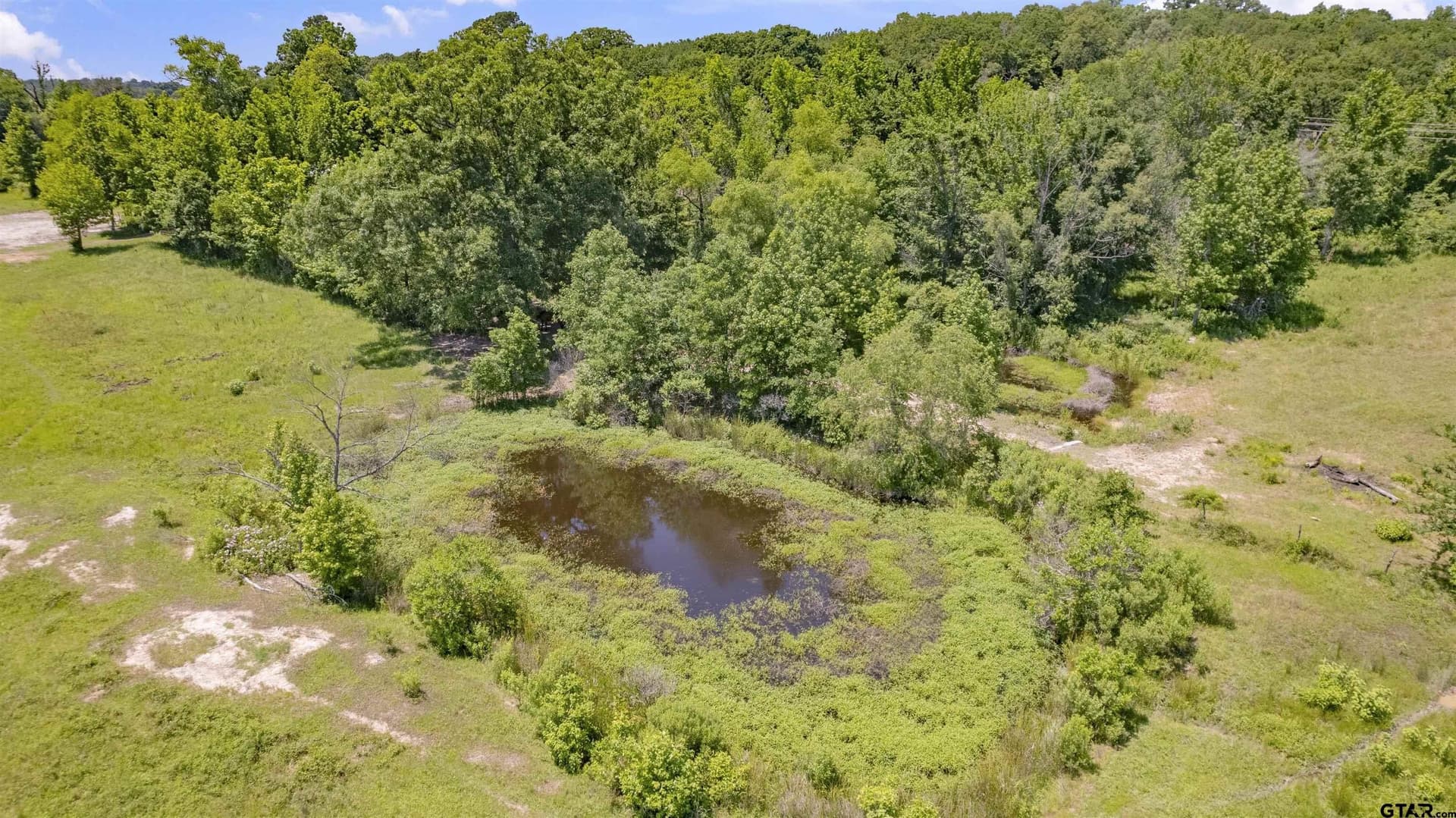 70.17 acres in Henderson County - photo 34