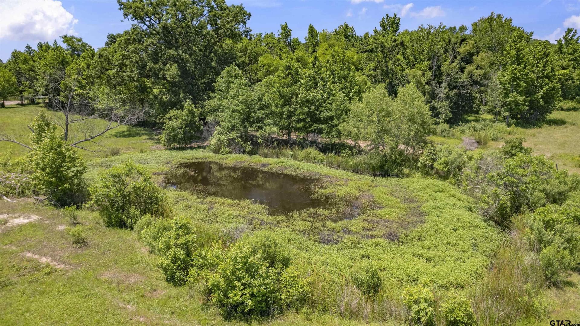 70.17 acres in Henderson County - photo 22