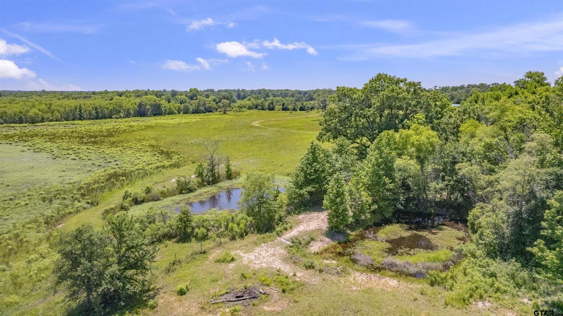 70.17 acres in Henderson County - photo 20