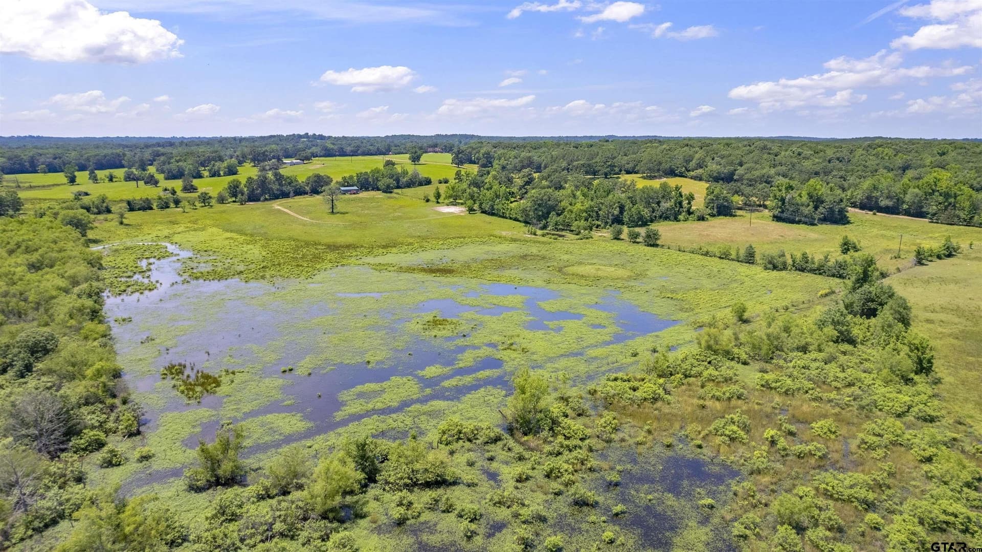 70.17 acres in Henderson County - photo 14