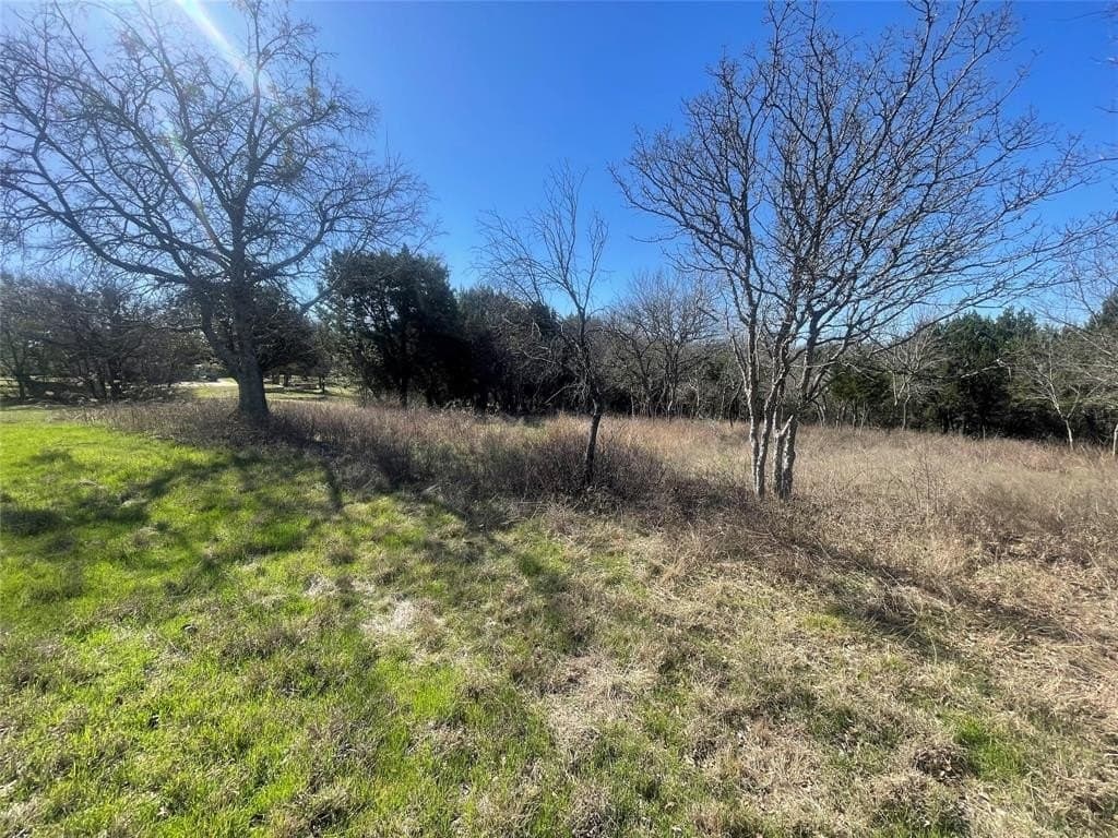 0.31 acres in Hill County - photo 4